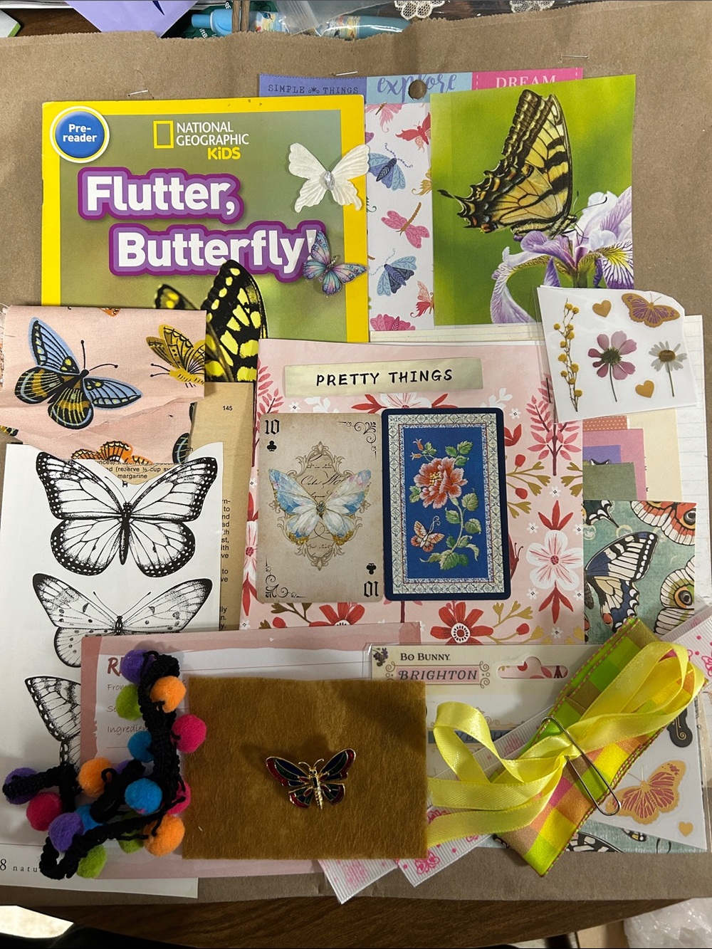 National Geographic Kids Flutter Butterfly! Pre-Reader Activity Pack - Yellow